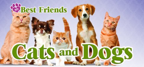 Bild aus My Best Friends - Cats & Dogs