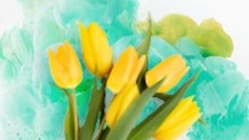 LIWEST Sujet Aktionskampagne Frühjahr 2025 gelbe Tulpen auf grüner Wolke