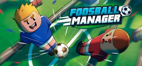 Bild aus Foosball Manager