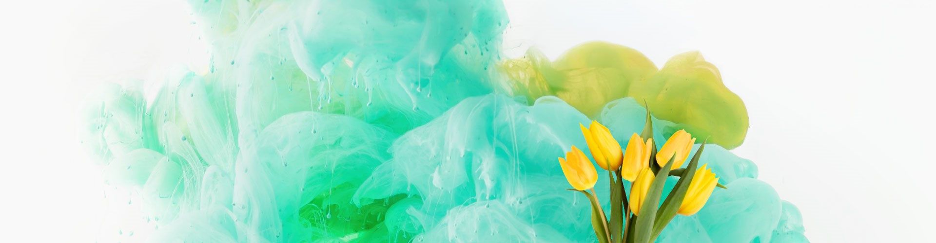 LIWEST Aktionskampagne Frühjahr 2025 grüne Wolken und gelbe Tulpen