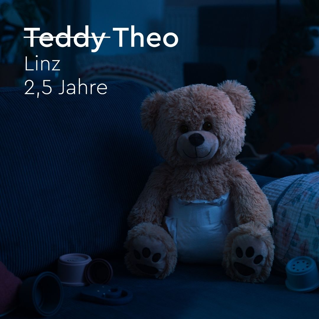 Teddy auf der Couch im Dunklen mit Text "Teddy durchgestrichen", daneben "Theo", darunter "Linz 2,5 Jahre"