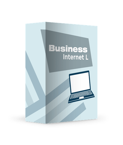 Box mit Aufschrift Business Internet L und ein Laptop in Form eines Icons