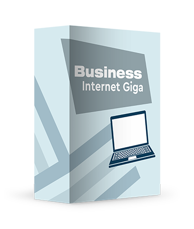 Box mit Aufschrift Business Giga und ein Laptop in Form eines Icons