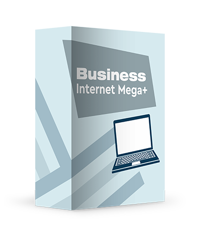 Box mit Aufschrift Business Mega+und ein Laptop in Form eines Icons